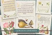 Floral Witch Spellbook (28 Pages), an Illustration by Secret Helper (Thumbnail 4 of 5)