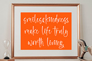 Blisk Orage, a Script Font by operatype.co (Thumbnail 8 of 15)