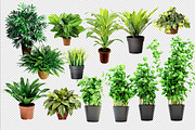 Plant Leaves Foliage Mega Pack, an Object Graphic by Sladedesign (Thumbnail 4 of 5)