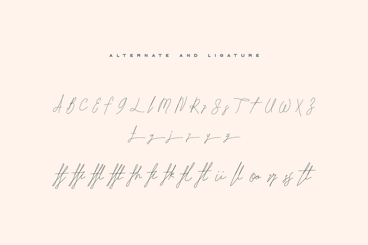 ARK Seychelle - Exotic Monoline Font, a Script Font by Arkara (Photo 8 of 8)