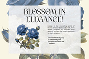 Atteliora Elegant Serif Font, a Serif Font by Heinzel Std (Thumbnail 6 of 13)