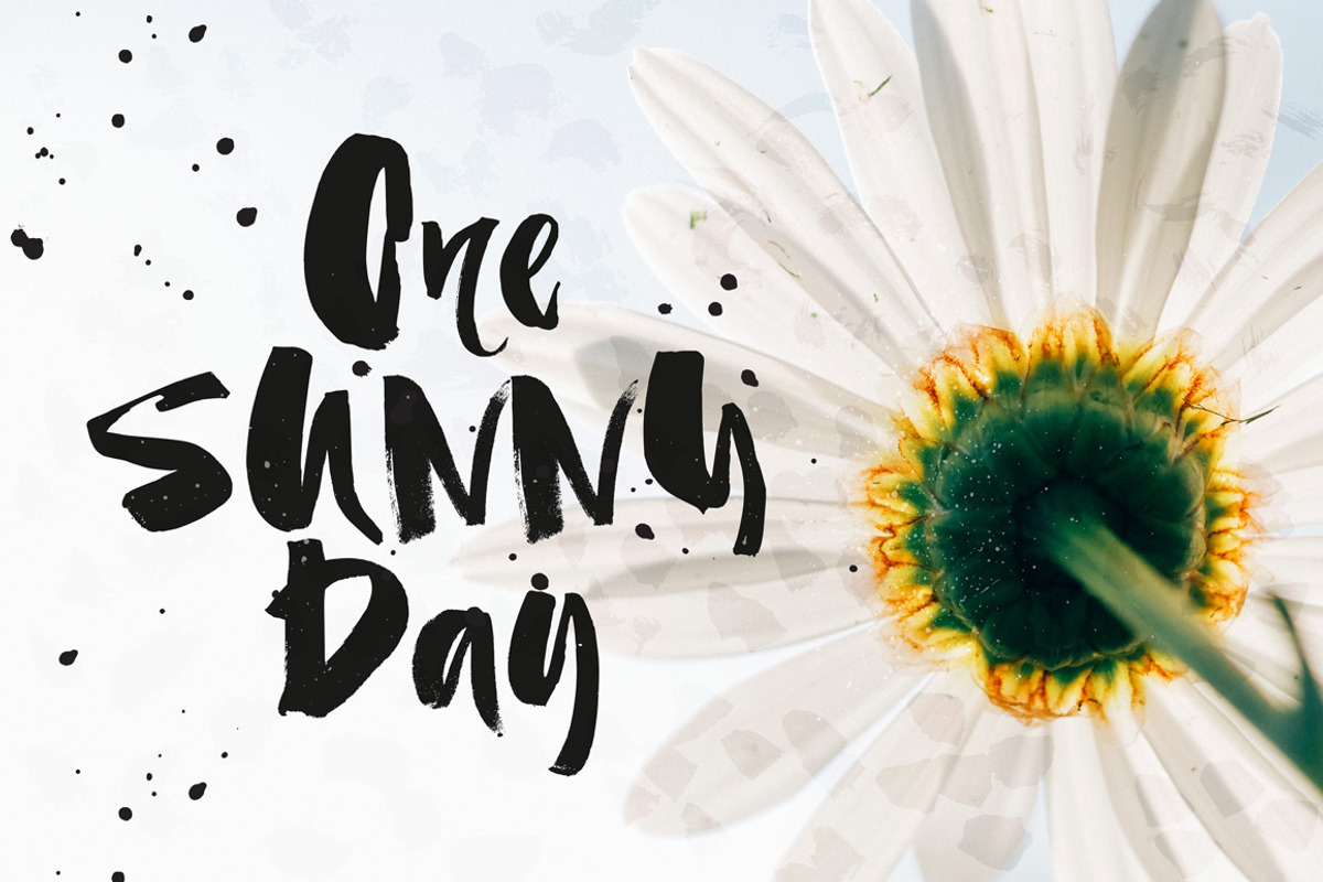Haiti Organic Brush Font +Extras, a Script Font by Favete Art (Photo 4 of 11)