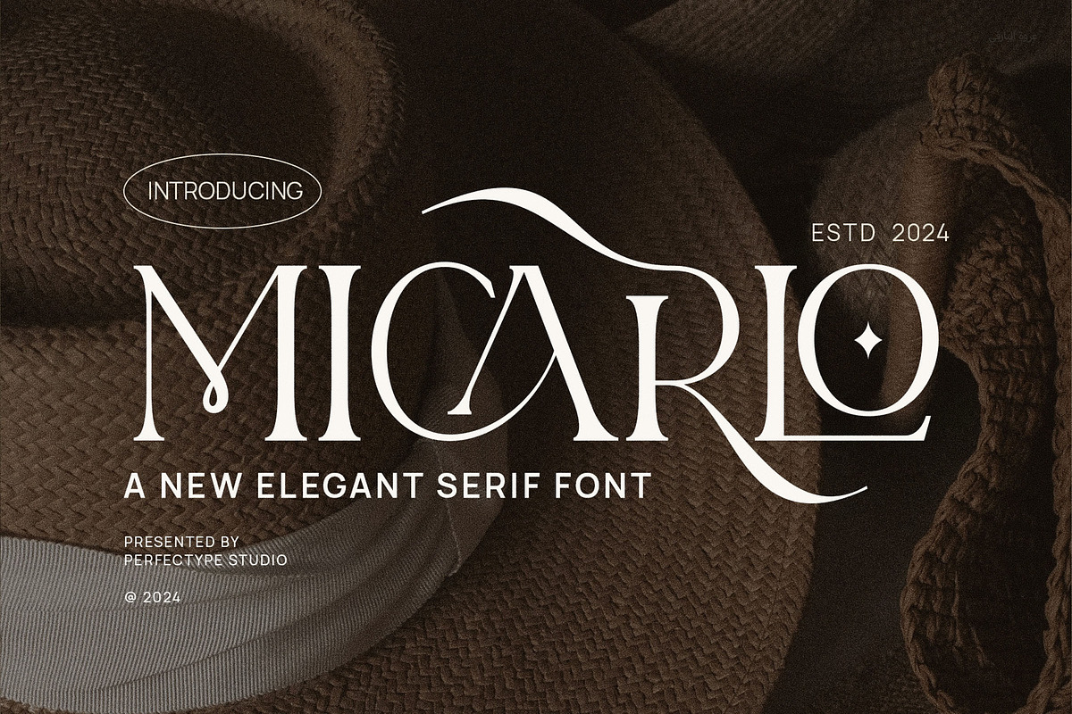 Micarlo Elegant Ligature Serif Font, a Serif Font by Perfectype (Photo 1 of 6)