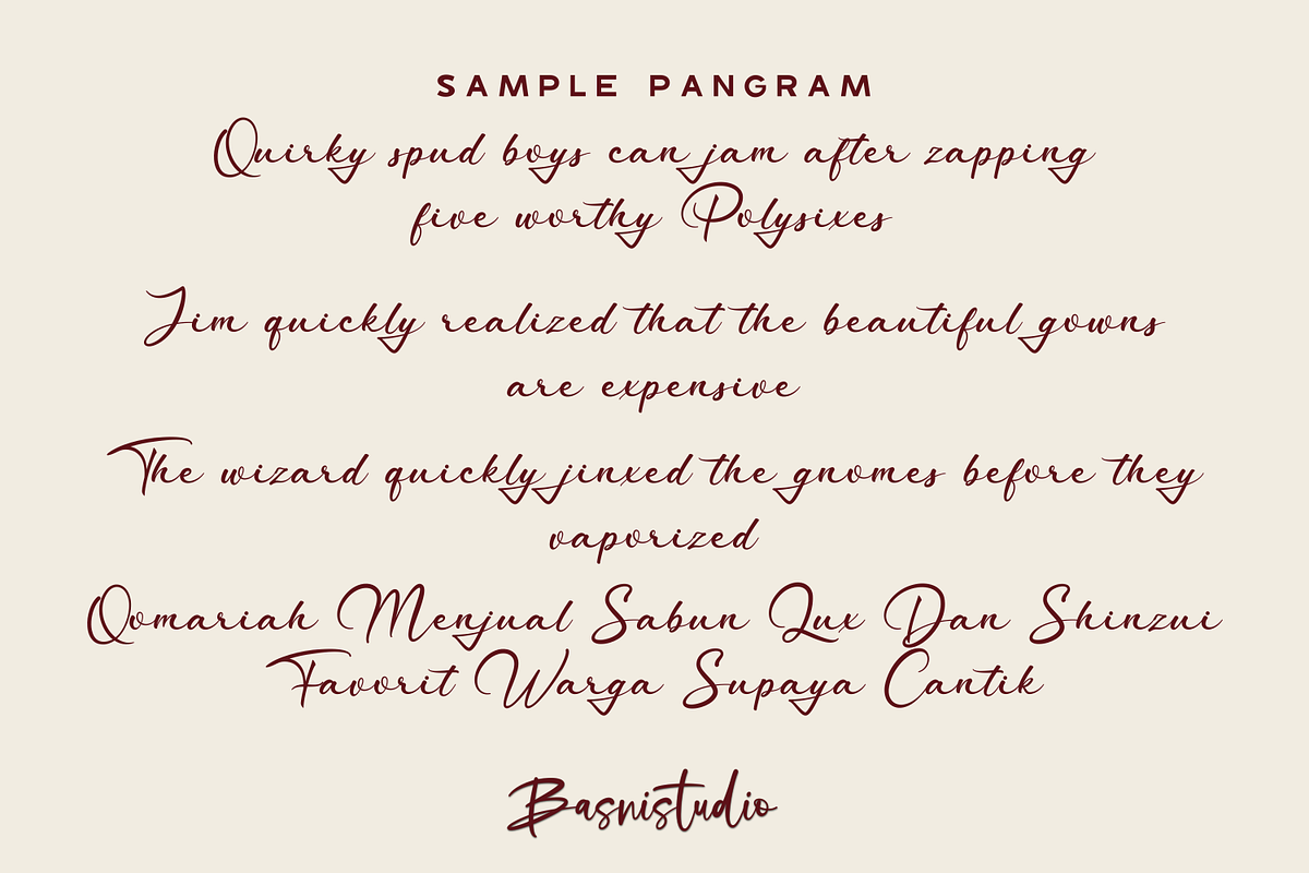 Patrigan Script Font, a Script Font by Basnistudio (Photo 6 of 7)