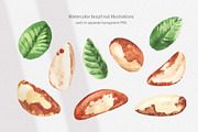 Cosmetic Ingredients Watercolor set, a Healthcare Illustration by Volha Studio (Thumbnail 11 of 19)