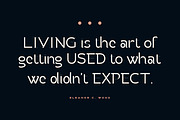 Fladerling - The Elegant Logo Font, a Sans Serif Font by Graphicfresh (Thumbnail 4 of 10)