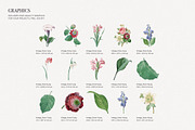 Vintage Elegant Floral Pattern, a Pattern Graphic by likorbut (Thumbnail 6 of 8)