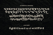 Transcity - A Playful Serif, a Serif Font by Dharmas Foundry (Thumbnail 15 of 16)