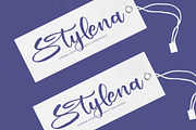 Shiny Cottage Modern Handbrush Font, a Script Font by stylishtype.co (Thumbnail 4 of 20)