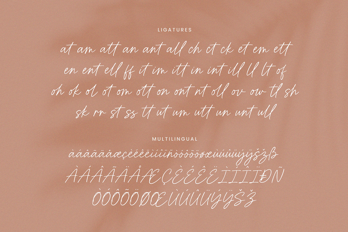 Roshely Casual Script, a Script Font by Seagulls Creative (Photo 10 of 10)