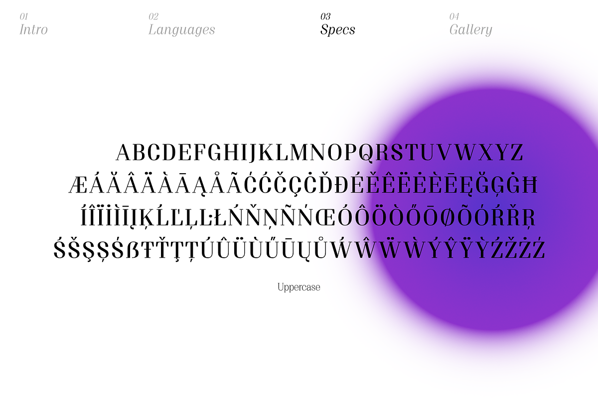 Proto Serif Semi-Bold, a Serif Font by Bukva™ Type Foundry (Photo 5 of 13)