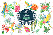 Watercolor tropical set, an Illustration by Elizaveta (Thumbnail 1 of 4)
