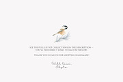 4-in-1 watercolor clipart bundle, a Decorative Illustration by Patishop Art (Thumbnail 6 of 6)