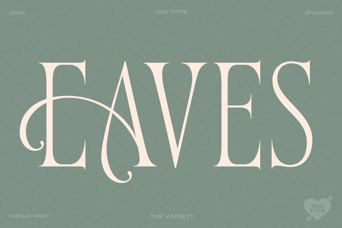 TAN - Variety, a Serif Font by TanType (Photo 18 of 26)