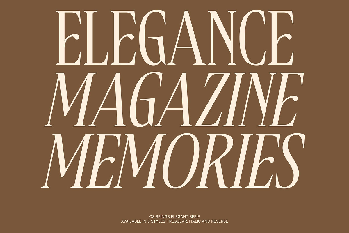 CS Brings – Elegant Serif Font, a Serif Font by Craft Supply Co. (Photo 3 of 8)