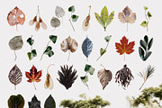 Hollow: Mystical Forest Collage Pack, an Object Graphic by Purple (Thumbnail 10 of 13)