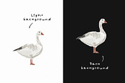 Whimsical Autumn: Hand-Drawn Items, an Object Graphic by divanovskaya_nv (Thumbnail 9 of 12)