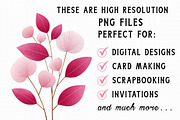 Watercolor Burgundy Flowers Png, an Illustration by Libby Wishes (Thumbnail 4 of 6)