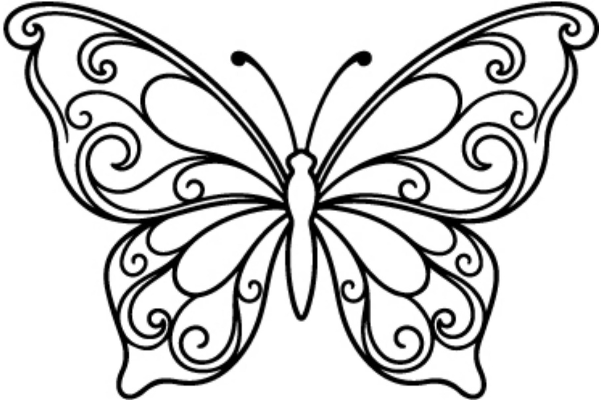 Butterfly SVG Bundle, an Object Graphic by Gfx_Store (Photo 9 of 32)