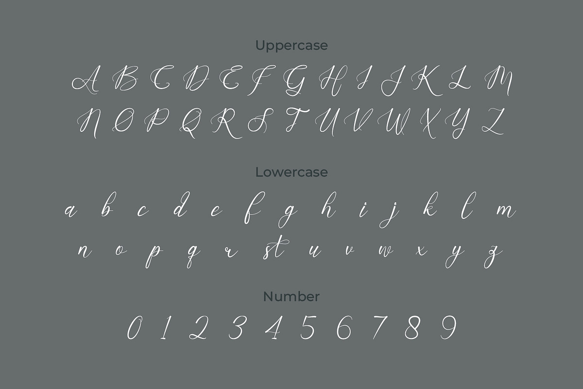 Barestan - Modern Signature Script, a Script Font by Rishsketch (Photo 10 of 13)