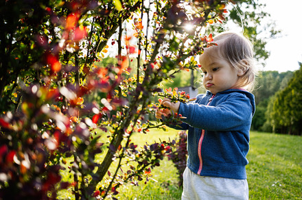 Child exploring nature in sunny green park surrounded by colorful bushes, a Person Photo by AS photostudio