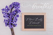 Julieta Imelda Stylish Calligraphy, a Script Font by stylishtype.co (Thumbnail 11 of 20)