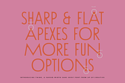 Think Sans Serif Font Family, a Sans Serif Font by Up Up Creative (Thumbnail 6 of 13)