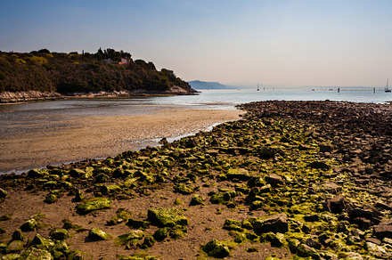 Mouth of the Timavo river, a Nature Photo by Bepslabor