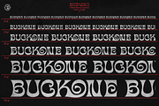 BuckOne, a Serif Font by inumocca_type (Thumbnail 10 of 14)
