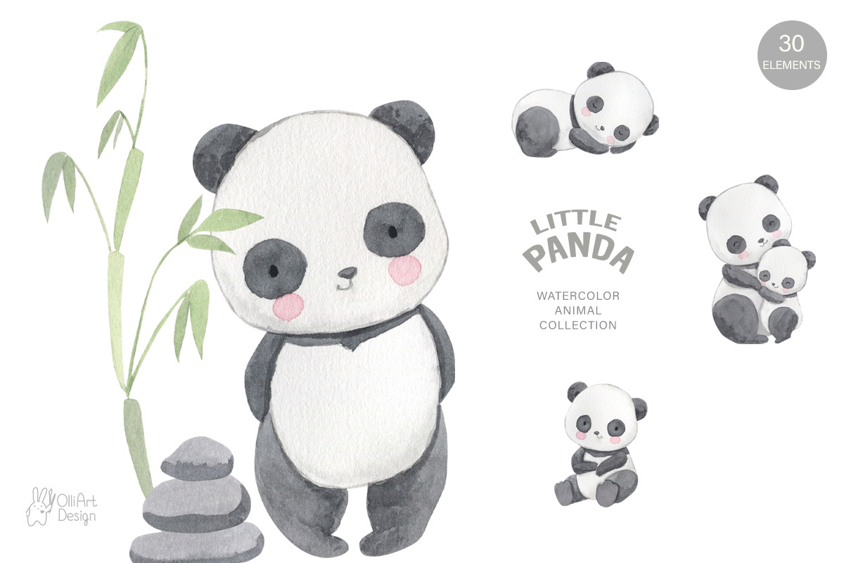 PANDA watercolor clipart, an Animal Illustration by OlliArtDesign (Photo 5 of 6)
