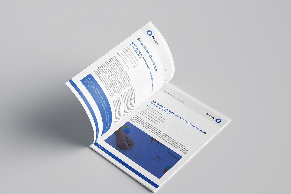 White Paper Template Word, a Brochure Template by azadcsstune (Photo 5 of 12)