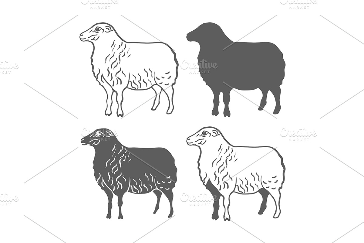 Domestic Animal Sheep Design Element, an Animal Illustration by idimair