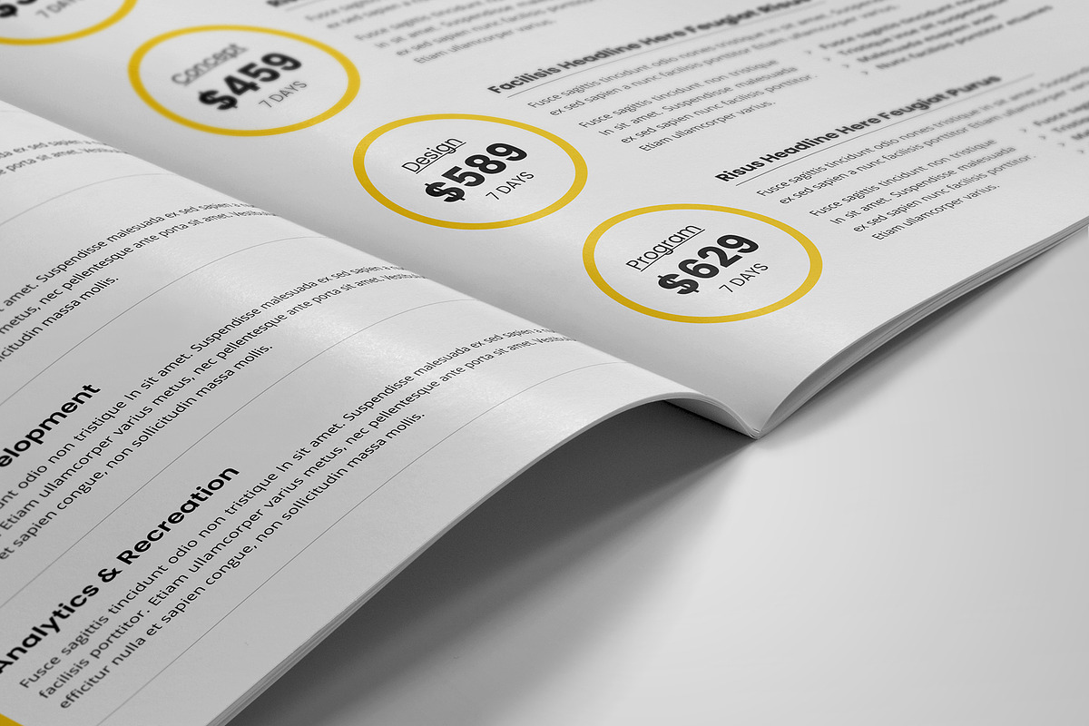 Project Business Proposal v5, a Brochure Template by Miyaji75 (Photo 5 of 18)