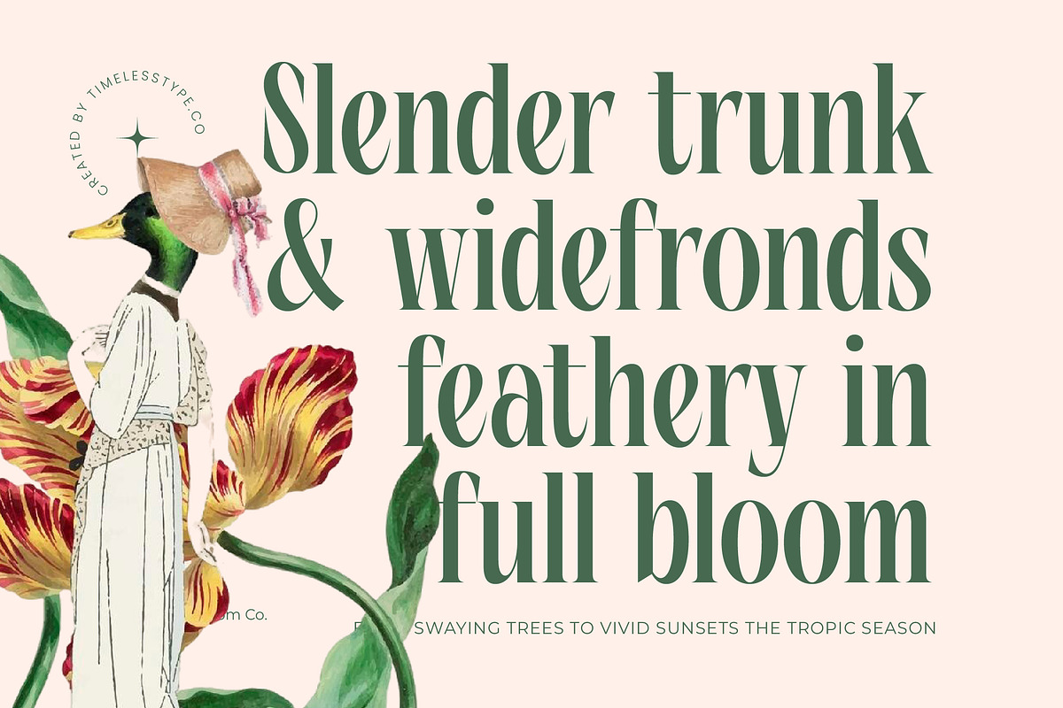Repslag Brocker Luxury Serif Font, a Serif Font by timelesstype.co (Photo 14 of 20)