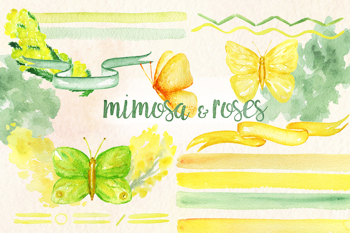 -50% Mimosa & roses flowers, an Illustration by LABFcreations (Photo 8 of 8)