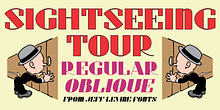 Sightseeing Tour JNL