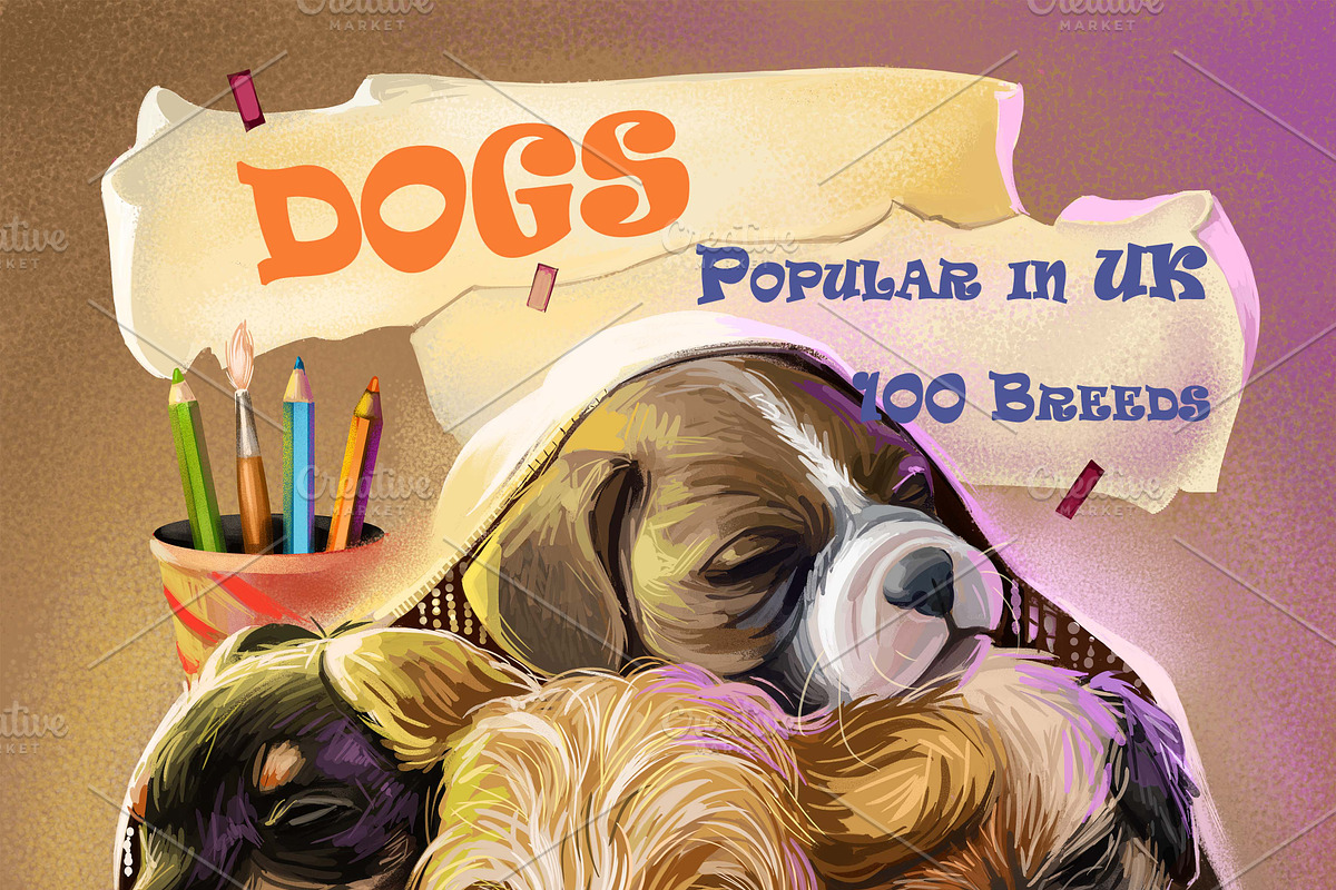 100 Dog Breeds Popular in UK, an Illustration by Dneprstock (Photo 1 of 4)