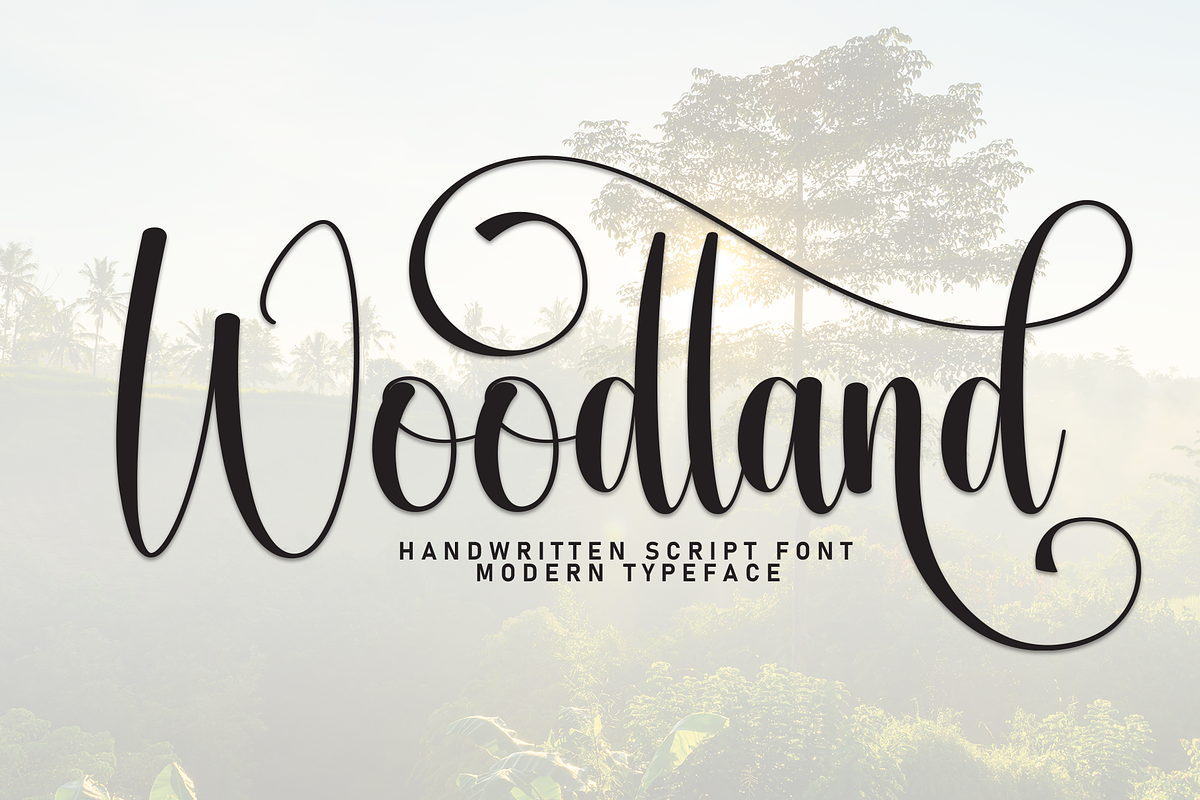 Woodland | Script Font, a Handwritten Font by Scratchones (Photo 1 of 9)