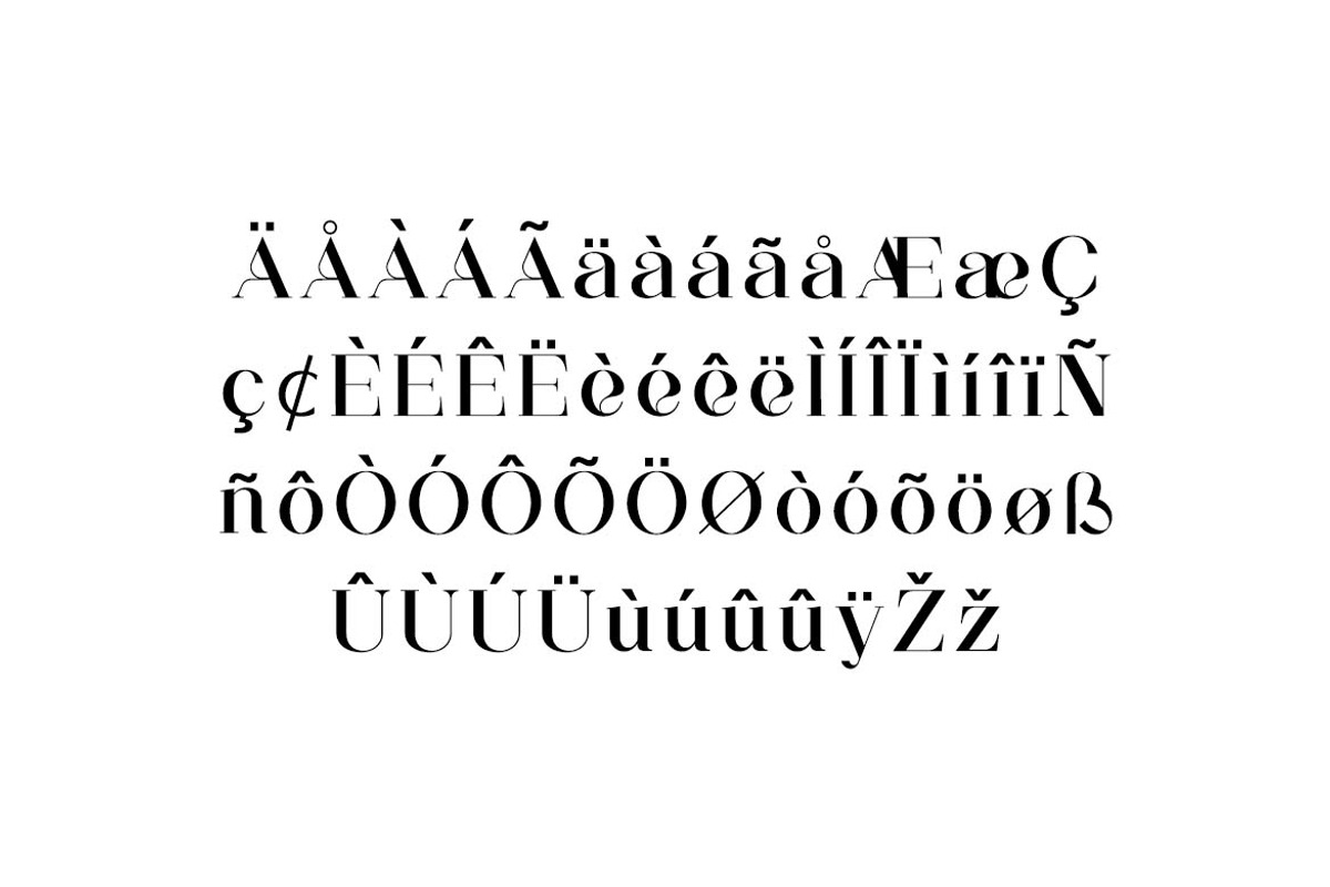 Aglycones Elegant Serif Display Font, a Serif Font by UICreative (Photo 9 of 13)