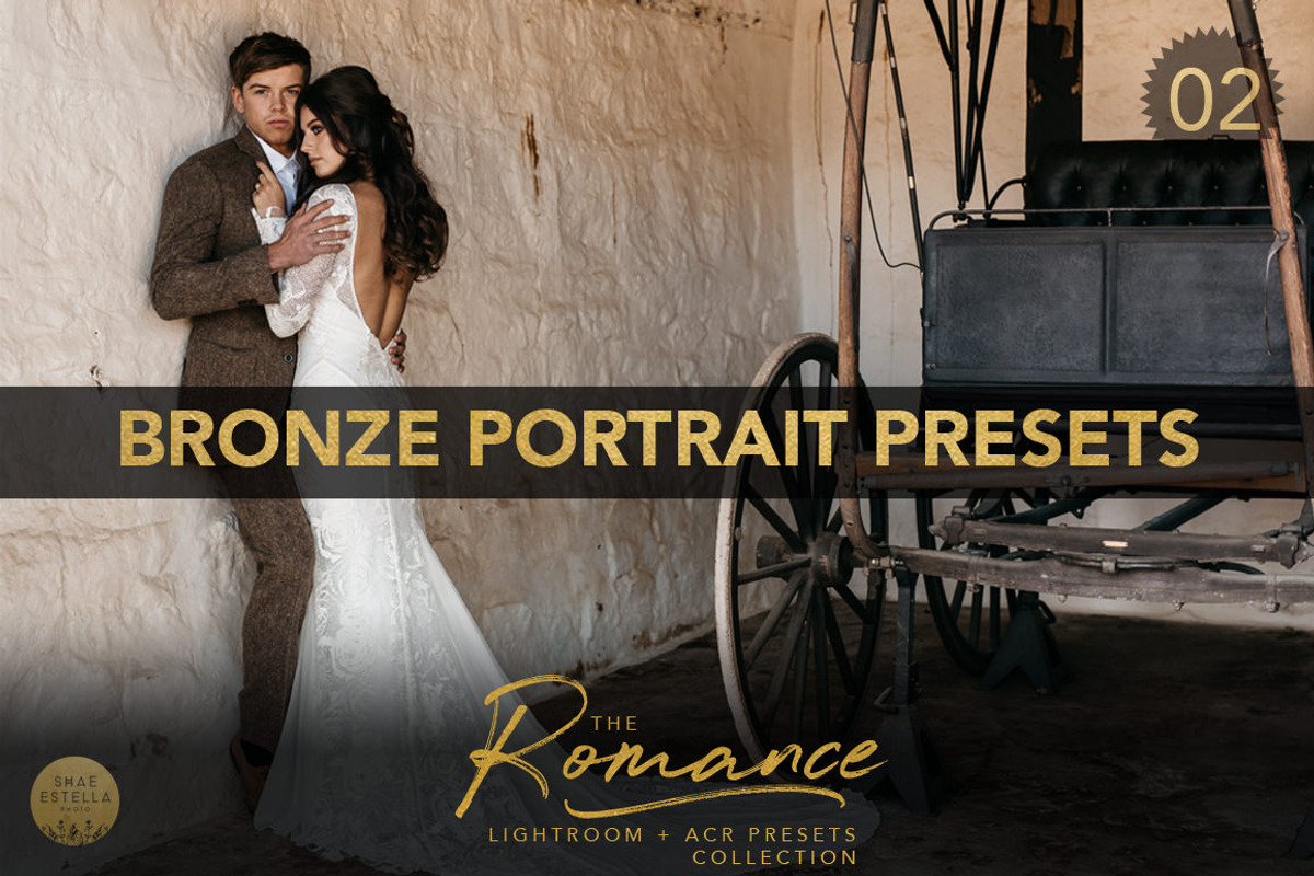 Bronze Portrait Presets LR ACR, an Action Add-On by Shae Estella Photo (Photo 1 of 6)