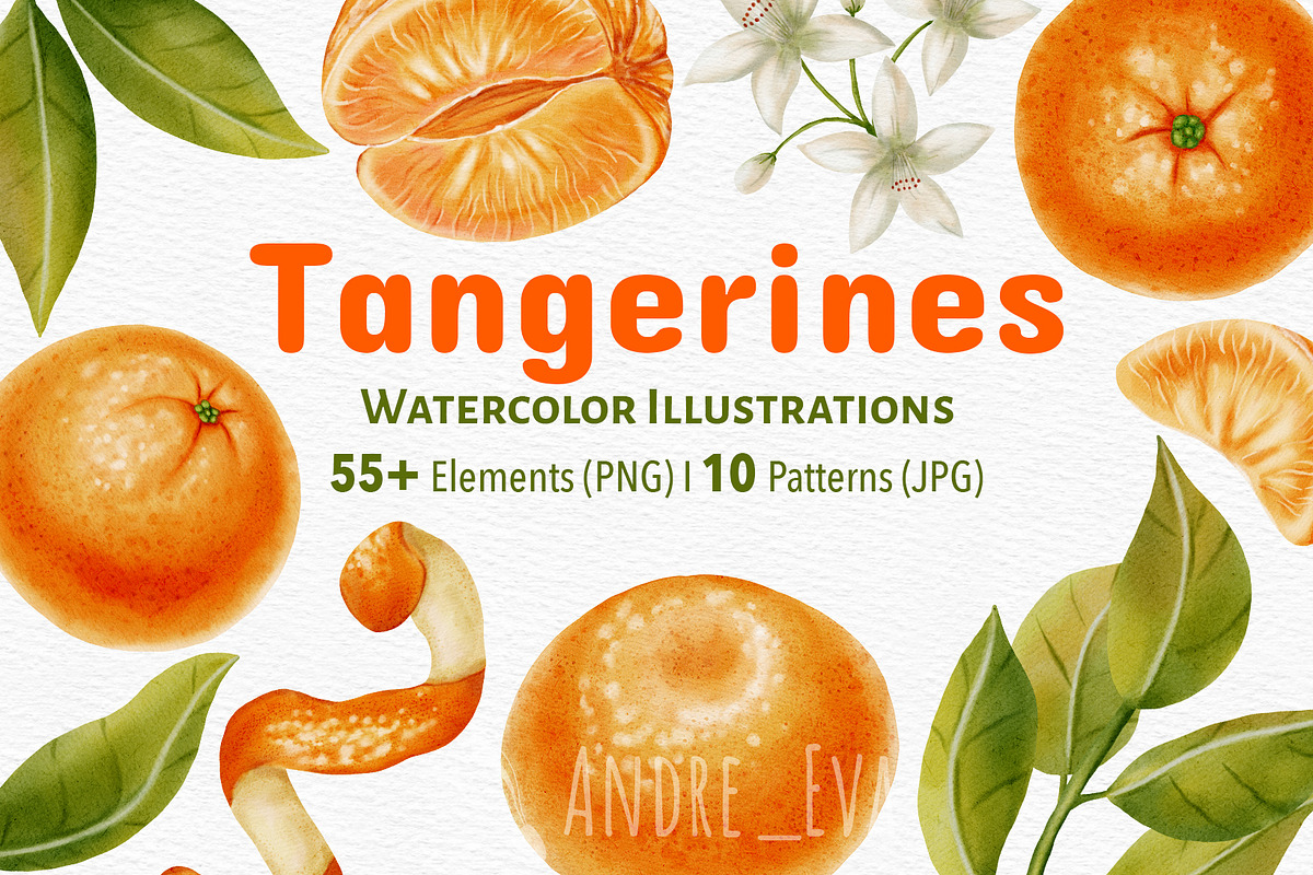 Tangerines — Watercolor Illustration, a Food Illustration by Andre_Eva (Photo 1 of 11)