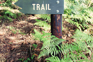 Trail Sign