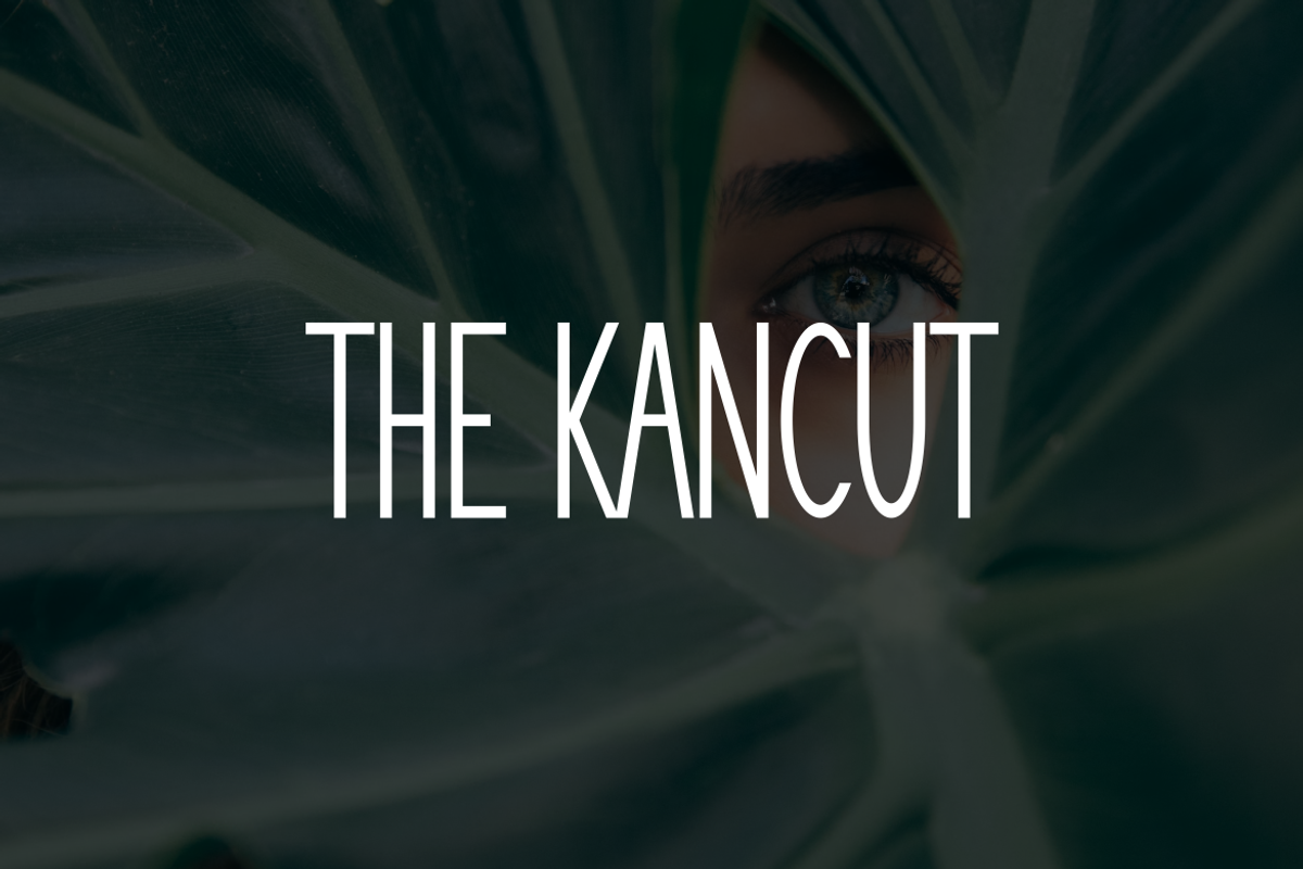 Lenislim - Font, a Sans Serif Font by artchiles_design (Photo 2 of 5)