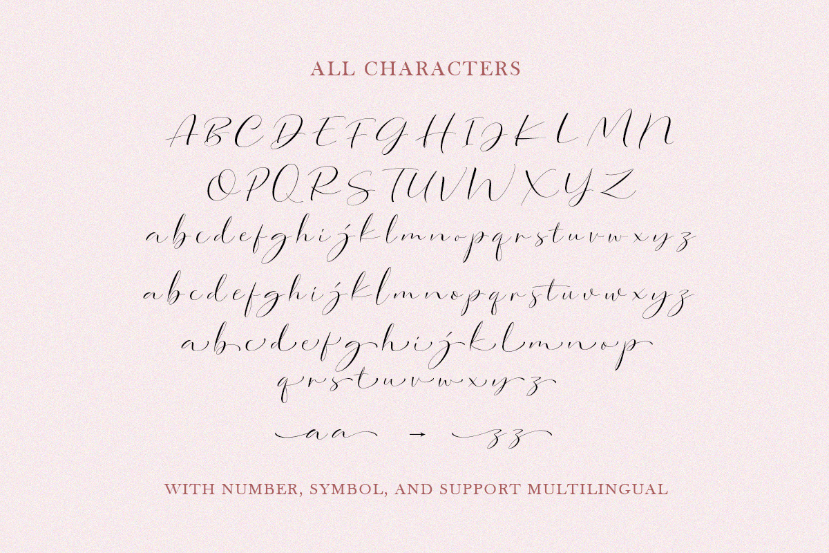 Dorothy Clark Script, a Script Font by Letterhend Studio (Photo 9 of 9)
