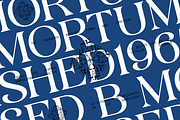 Bonrage Modern Elegant Serif Font, a Serif Font by Vadovastd (Thumbnail 6 of 9)