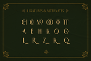 WT Pennifold, a Serif Font by Winston Type Co. (Thumbnail 9 of 9)