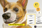 Procreate Furry Animal Brush Pack 1, a Brush Add-On by Artbykimmyw (Thumbnail 1 of 7)