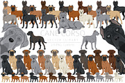 Cane Corso dog clip art, an Animal Illustration by pet design shop (Thumbnail 1 of 9)