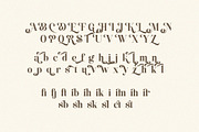 Shakira Beauty Serif, a Serif Font by Violet Natural (Thumbnail 13 of 13)