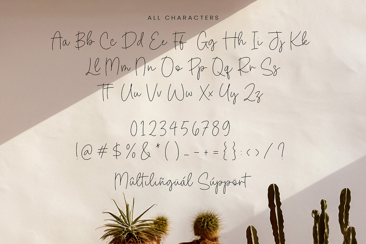 Dandelion Harvest Font, a Script Font by Timurtype (Photo 6 of 7)